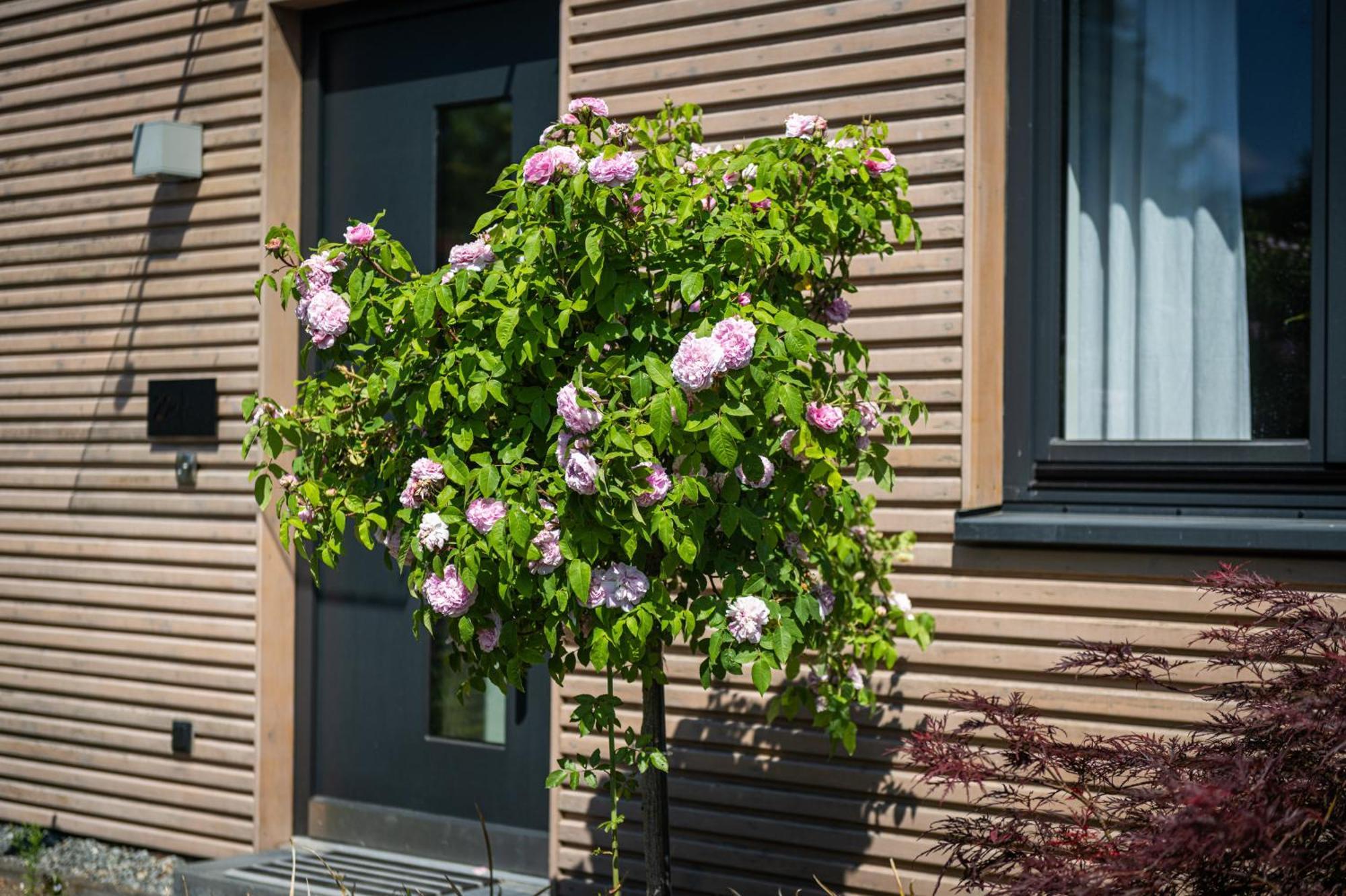 Vila Deine Genuss-Auszeit Asendorf Exteriér fotografie